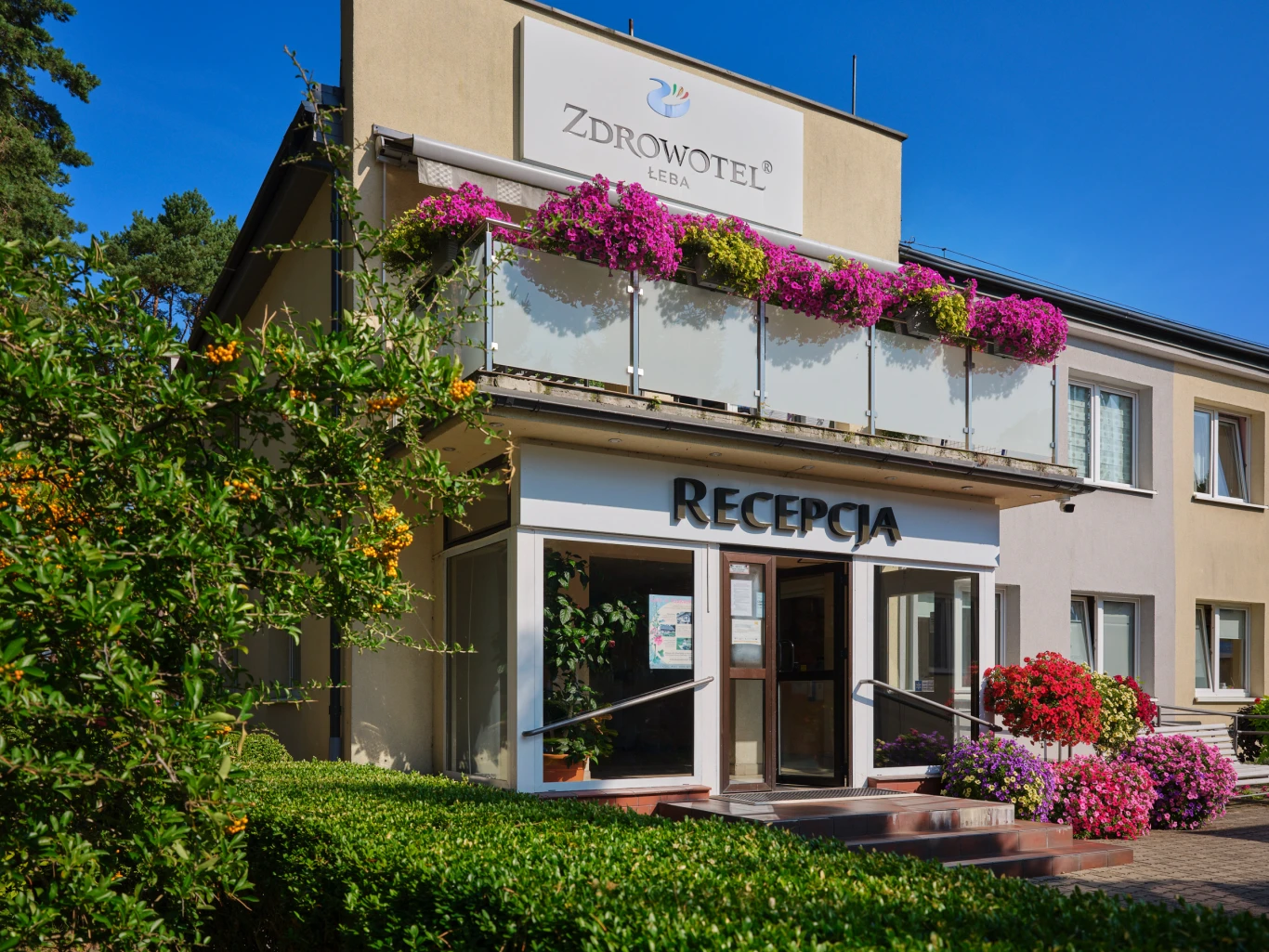 Zdjęcie podglądowe 1