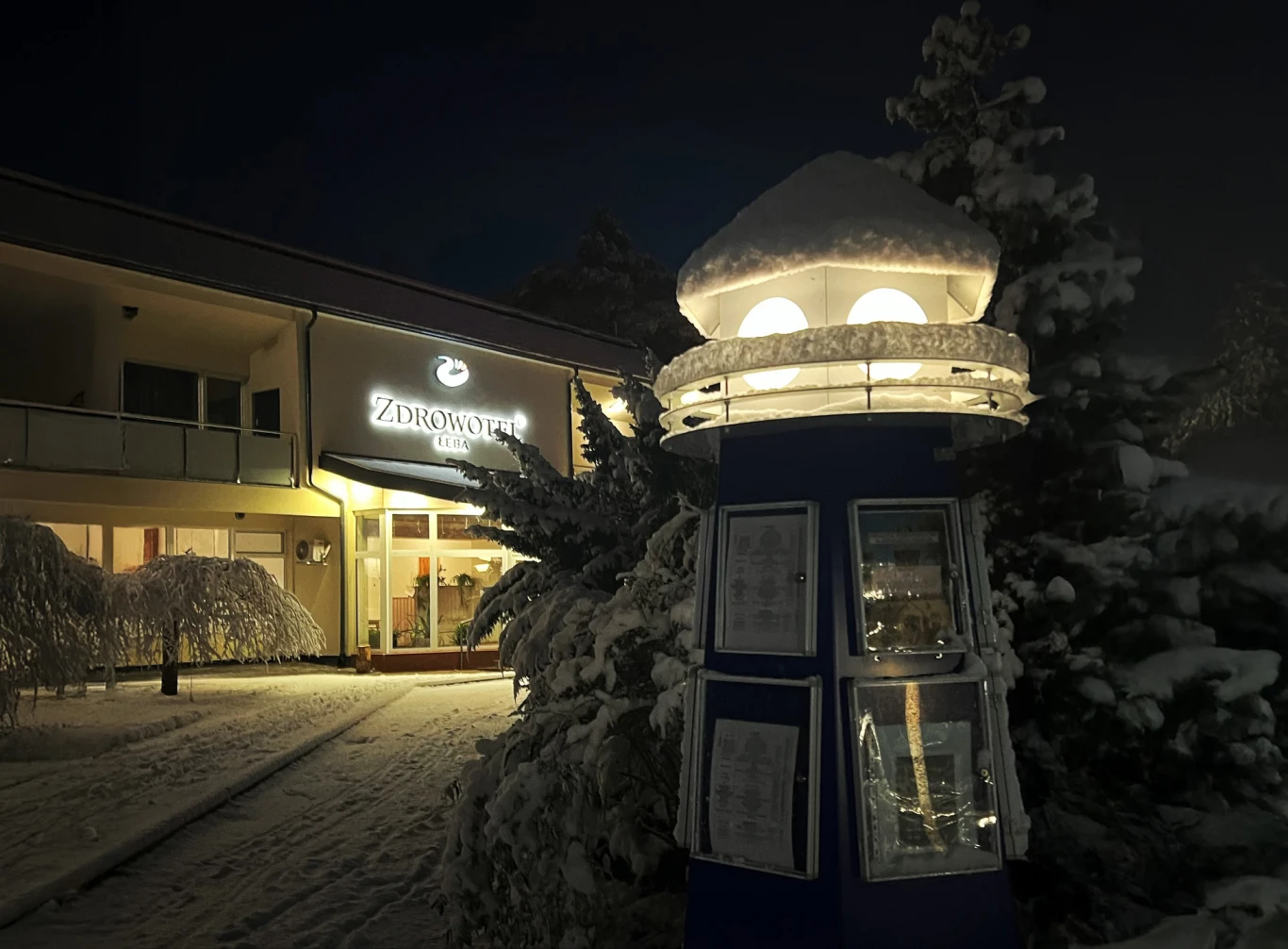 Zdjęcie podglądowe 1