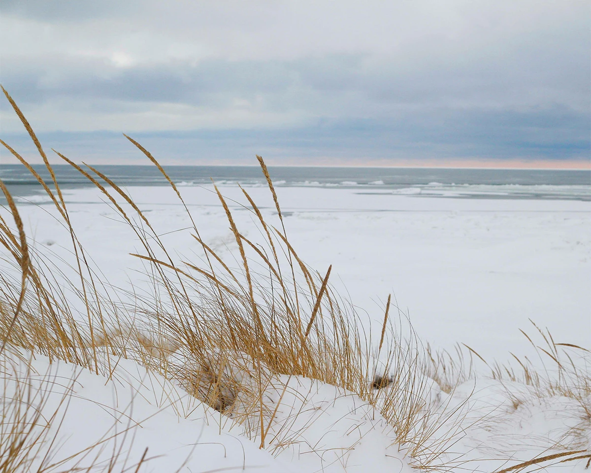 Zdjęcie podglądowe 1