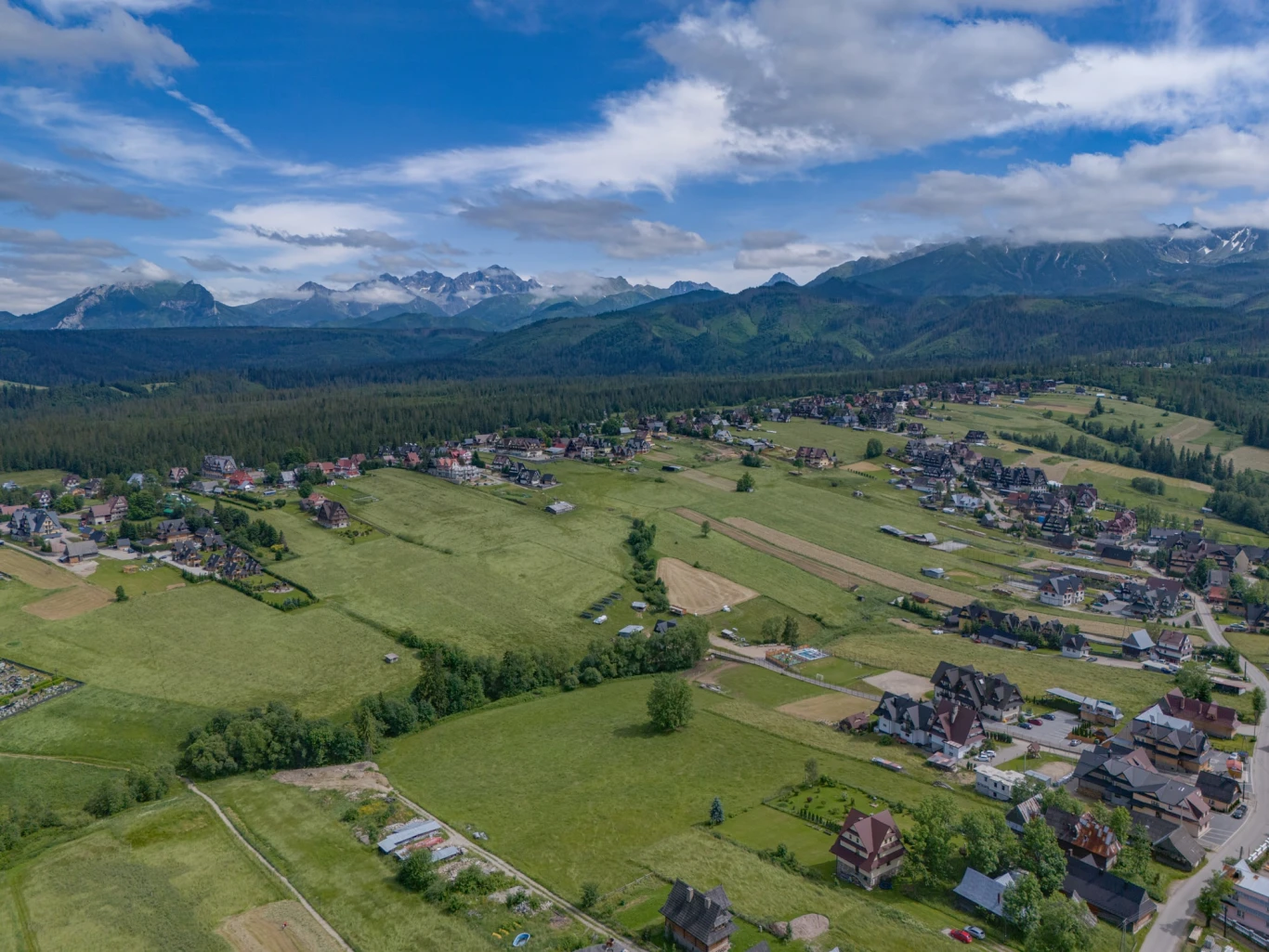 Zdjęcie podglądowe 1