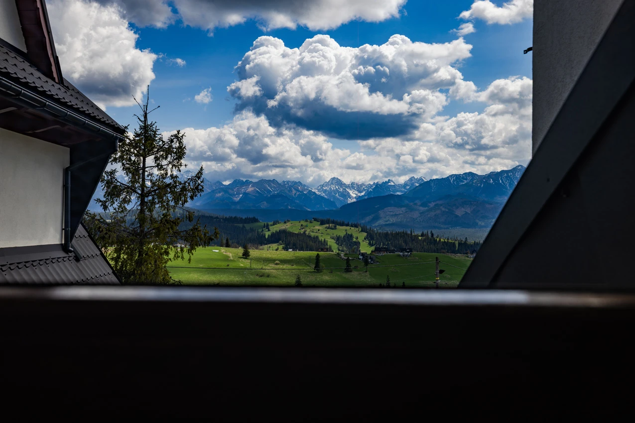 Zdjęcie podglądowe 1