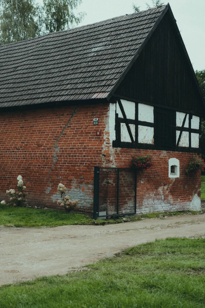 Zdjęcie podglądowe 1