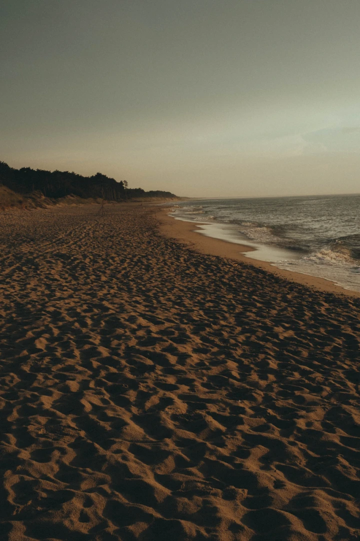 Zdjęcie podglądowe 1