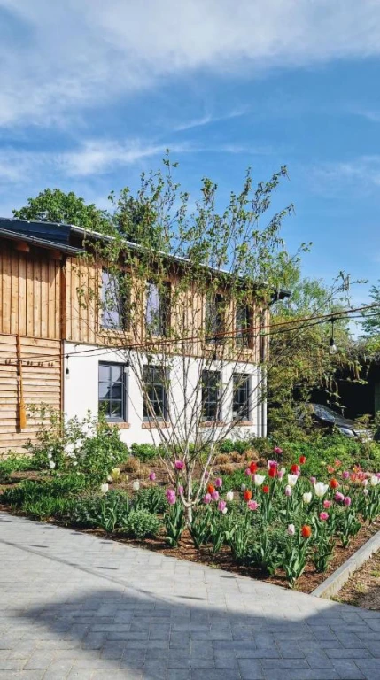 Zdjęcie podglądowe 1