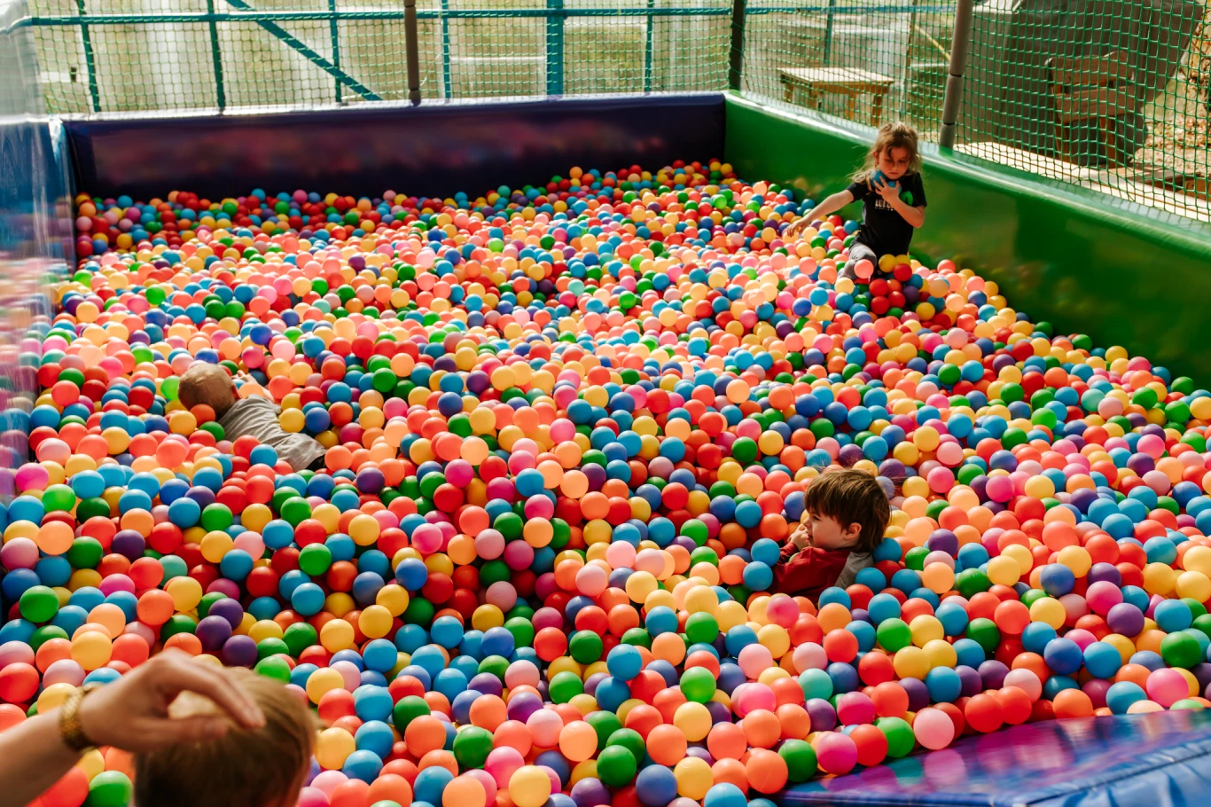 Zdjęcie podglądowe 1