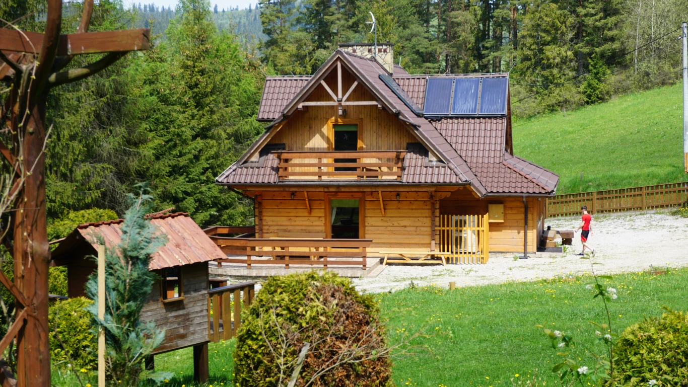 Zdjęcie podglądowe 1