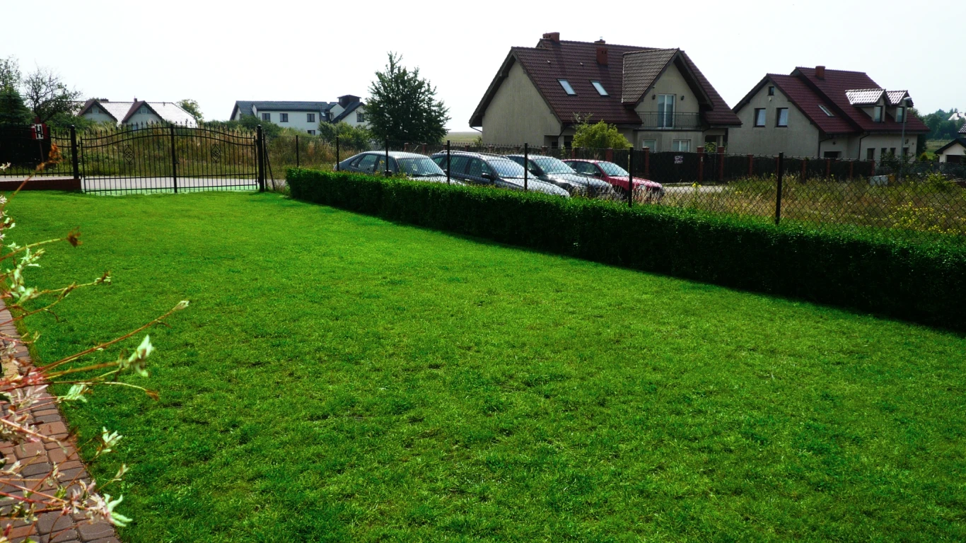 Zdjęcie podglądowe 1