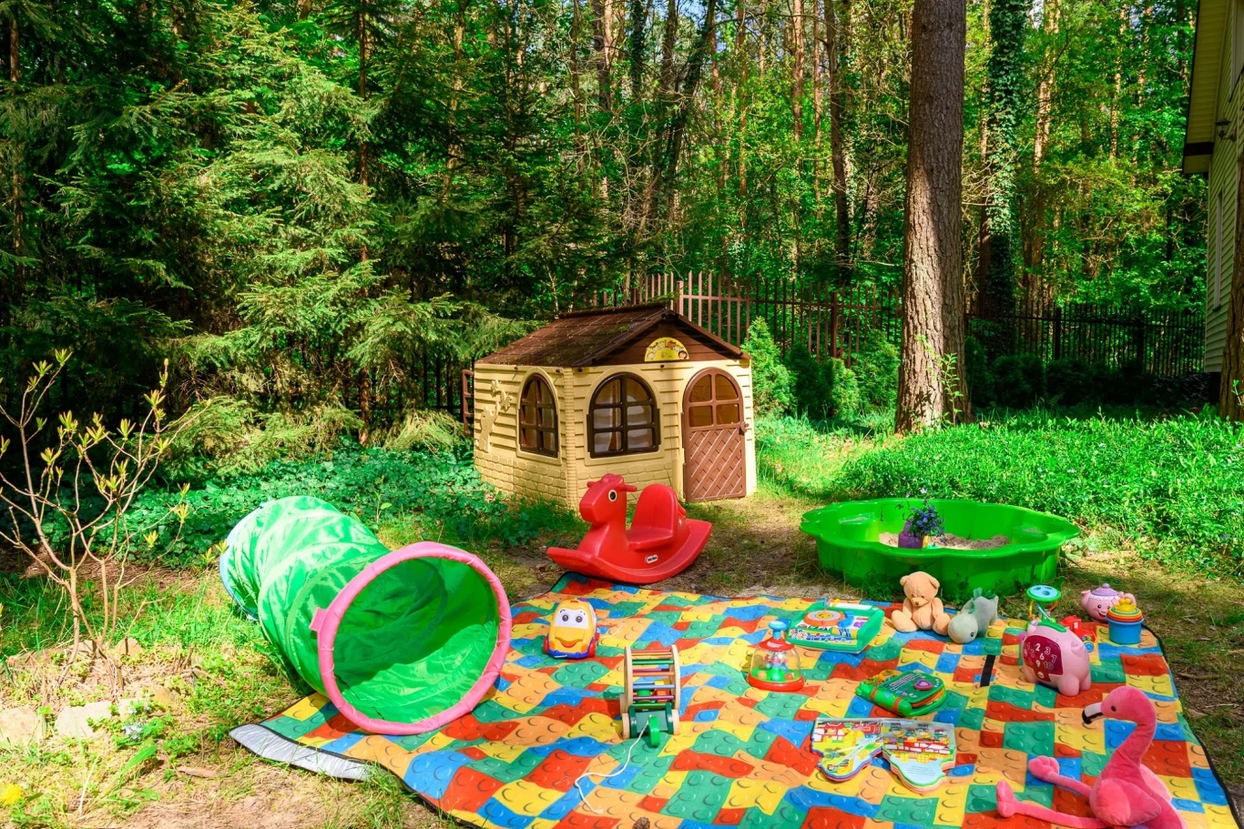 Zdjęcie podglądowe 1