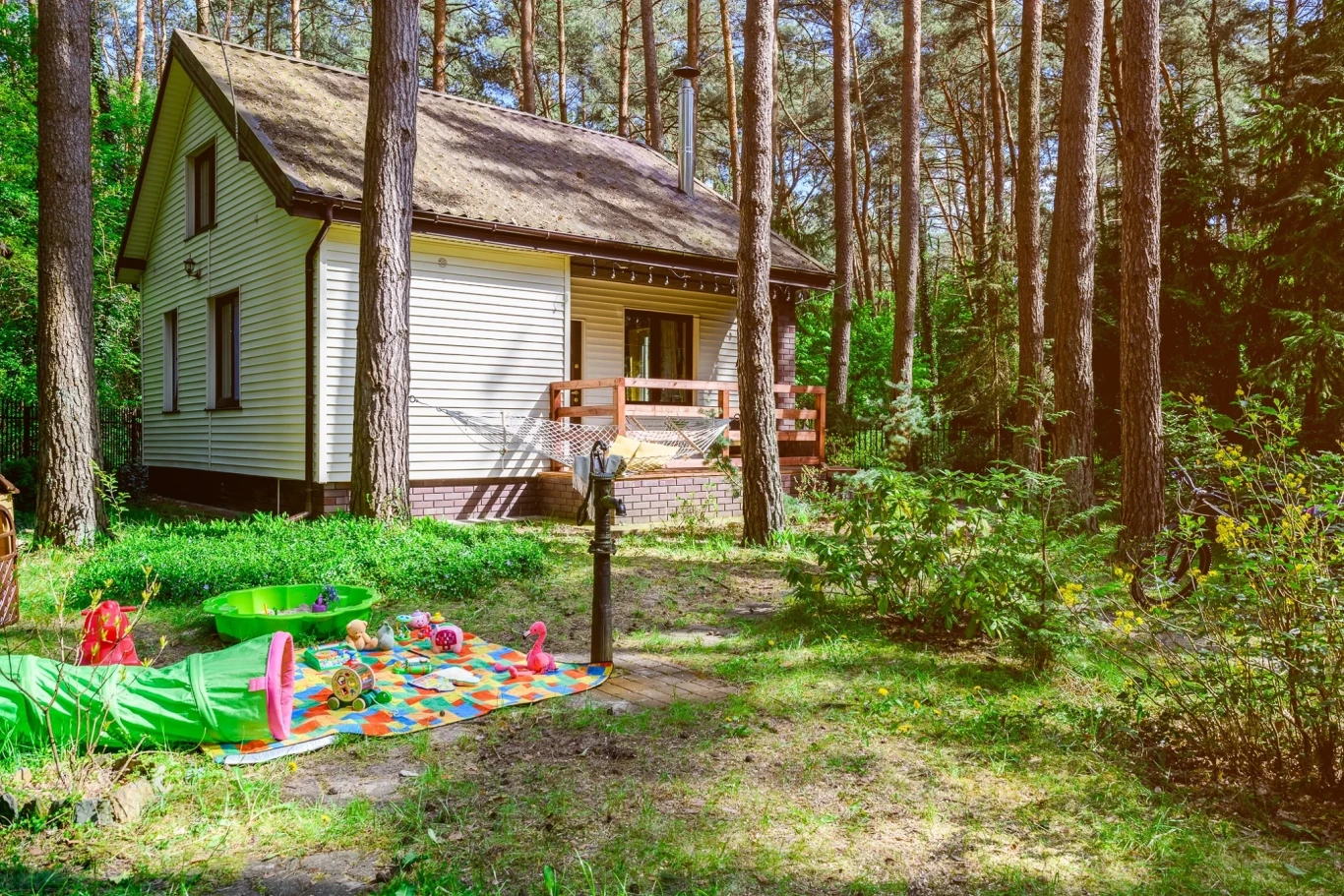 Zdjęcie podglądowe 1