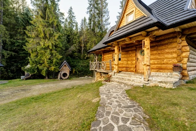 Zdjęcie podglądowe 1