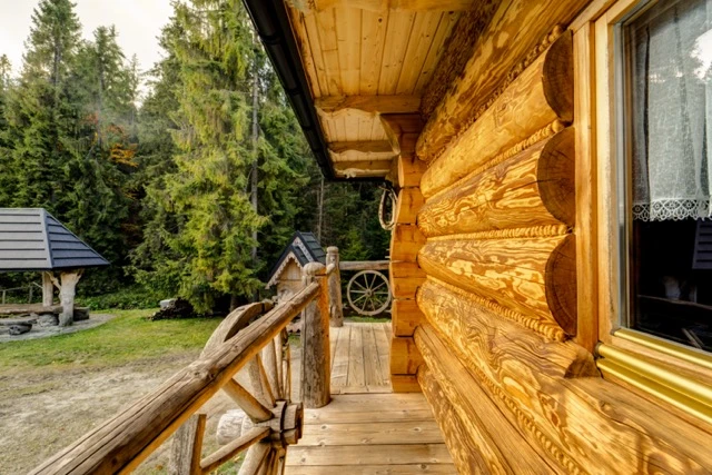 Zdjęcie podglądowe 1