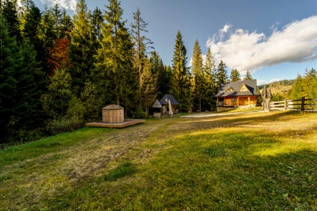 Zdjęcie podglądowe 1