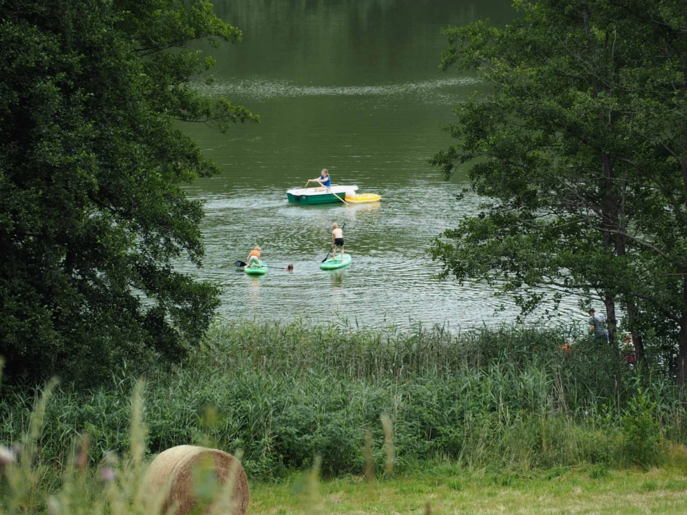 Zdjęcie podglądowe 1