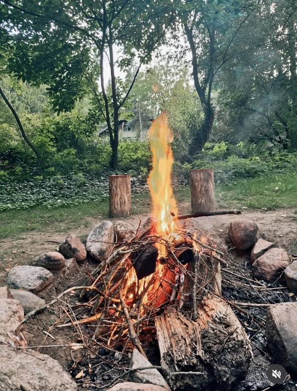 Image 14