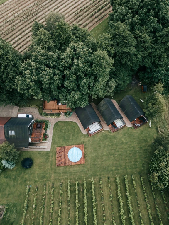 Zdjęcie podglądowe 1