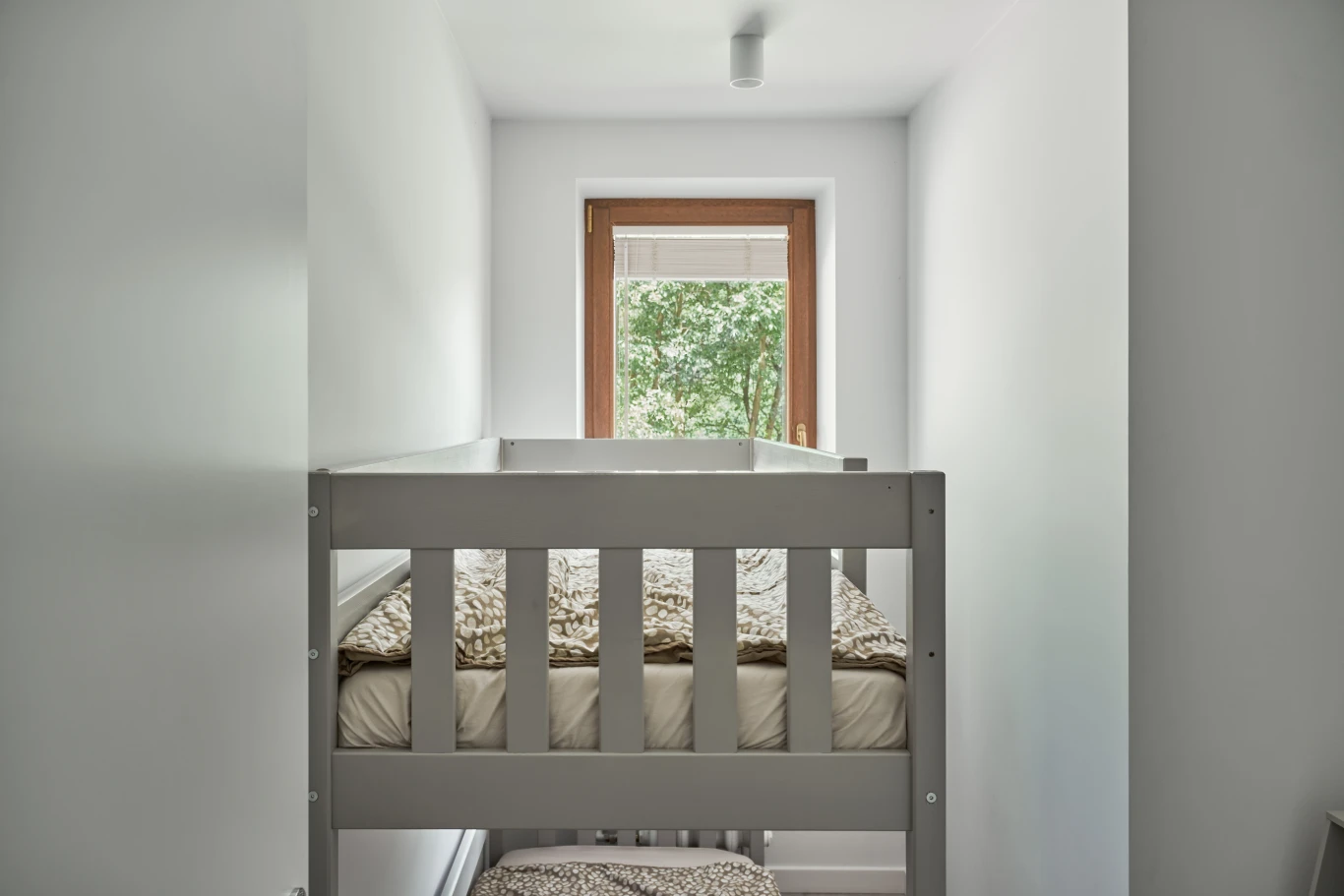 Zdjęcie podglądowe 1