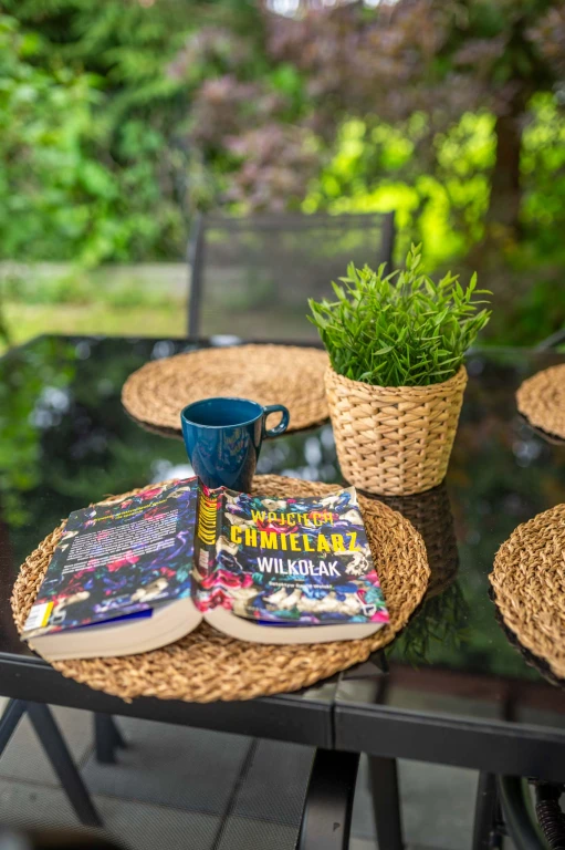 Zdjęcie podglądowe 1